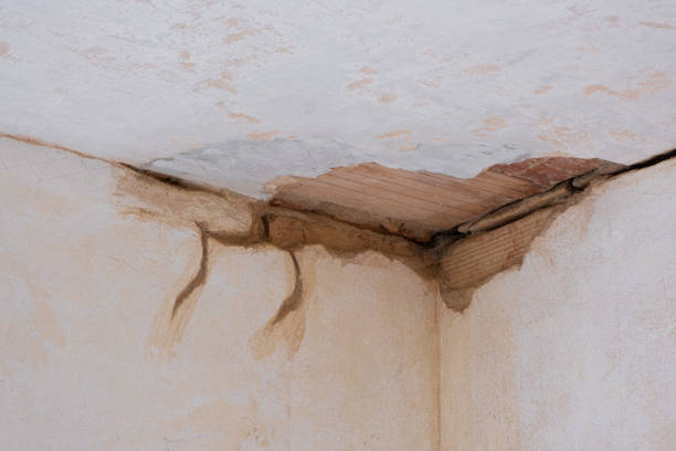 Best Water damage restoration near me  in Parlier, CA