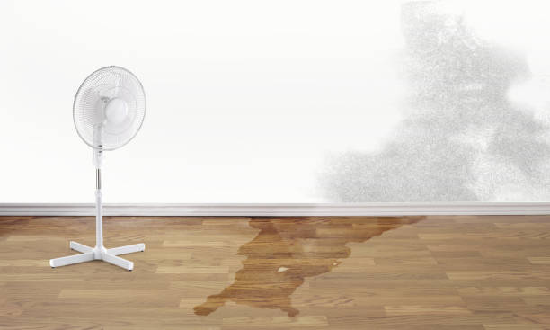 Best Fire Damage Restoration  in Parlier, CA
