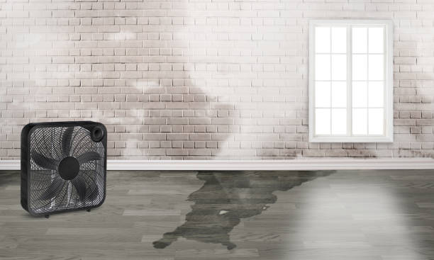 Trusted Parlier, CA Water damage restoration Experts