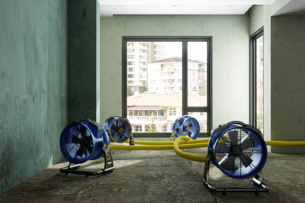 Best Basement water damage restoration  in Parlier, CA